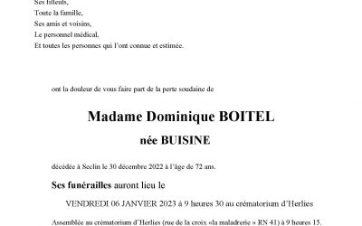 Madame Dominique BOITEL