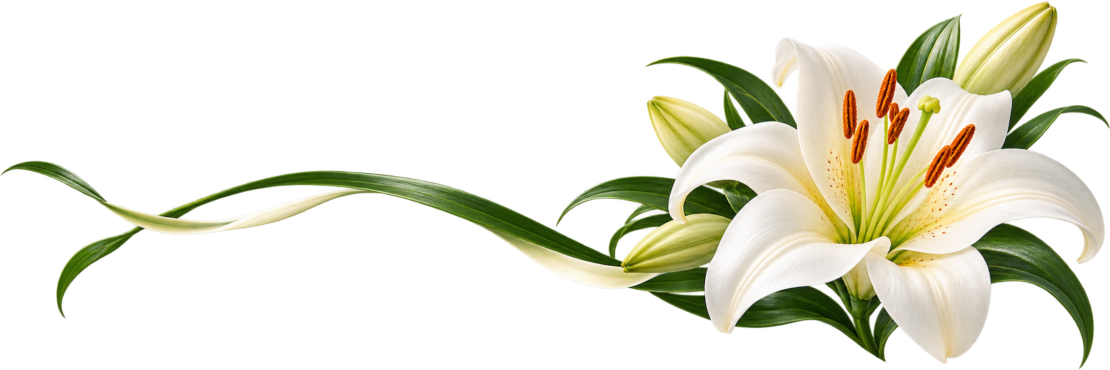 Lys blancs pour un hommage empreint de douceur